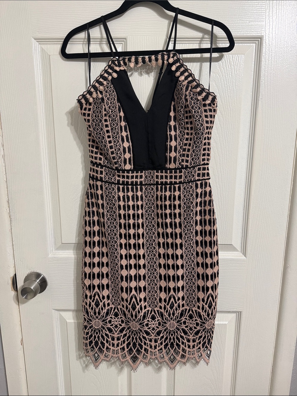 Harlyn Sleeveless Lace Overlay Cocktail Dress in Blush and Black
